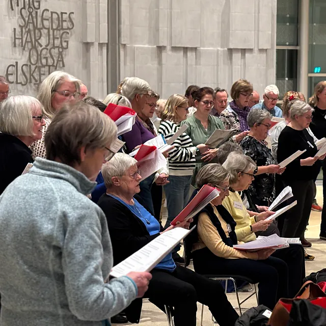 Musik i sognet