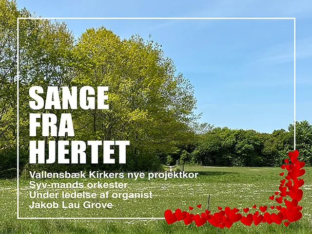 Sommerkoncert